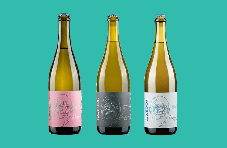 Image of Continuous Foil Line Portrait of Cavedon Vigneron