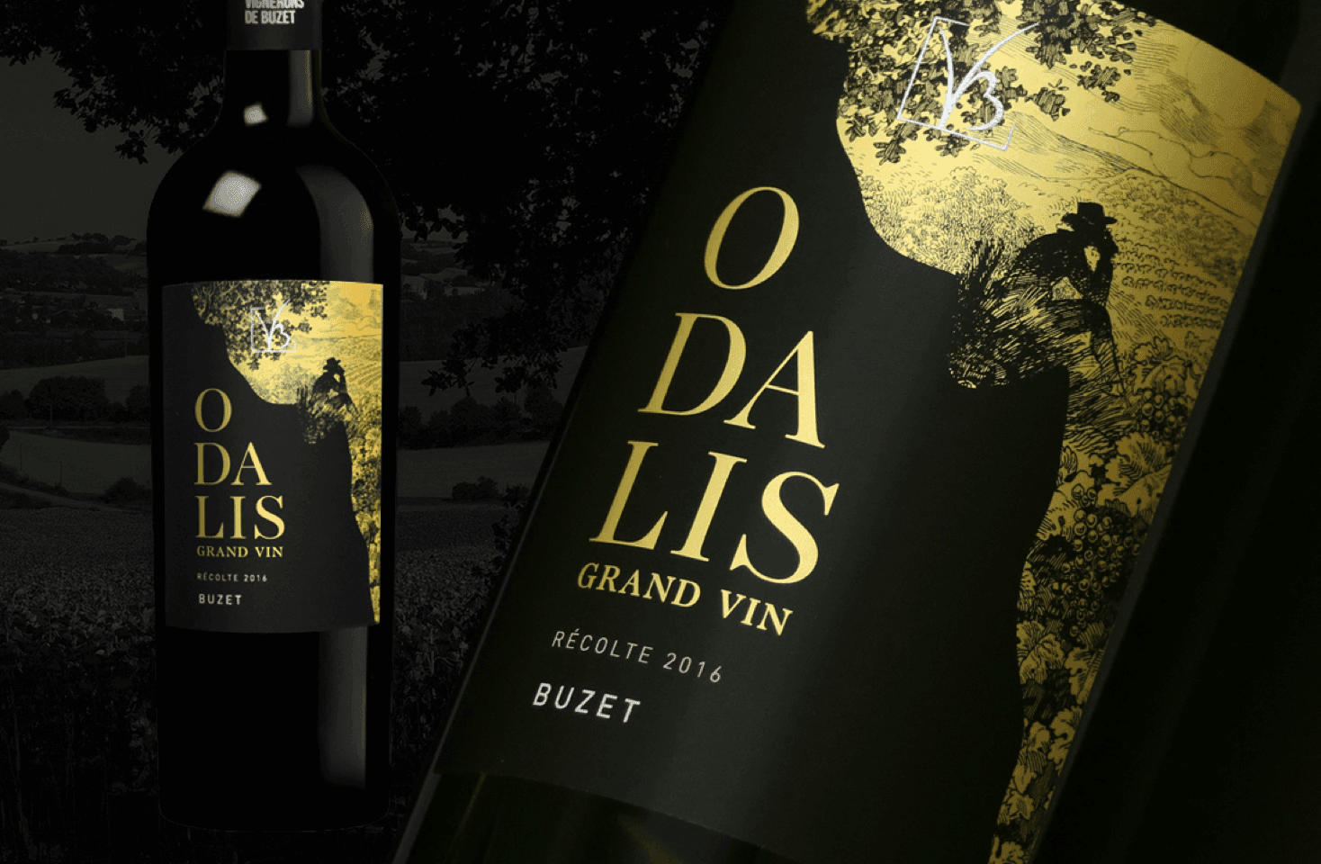 Image of When social responsibility & premiumization go hand in hand