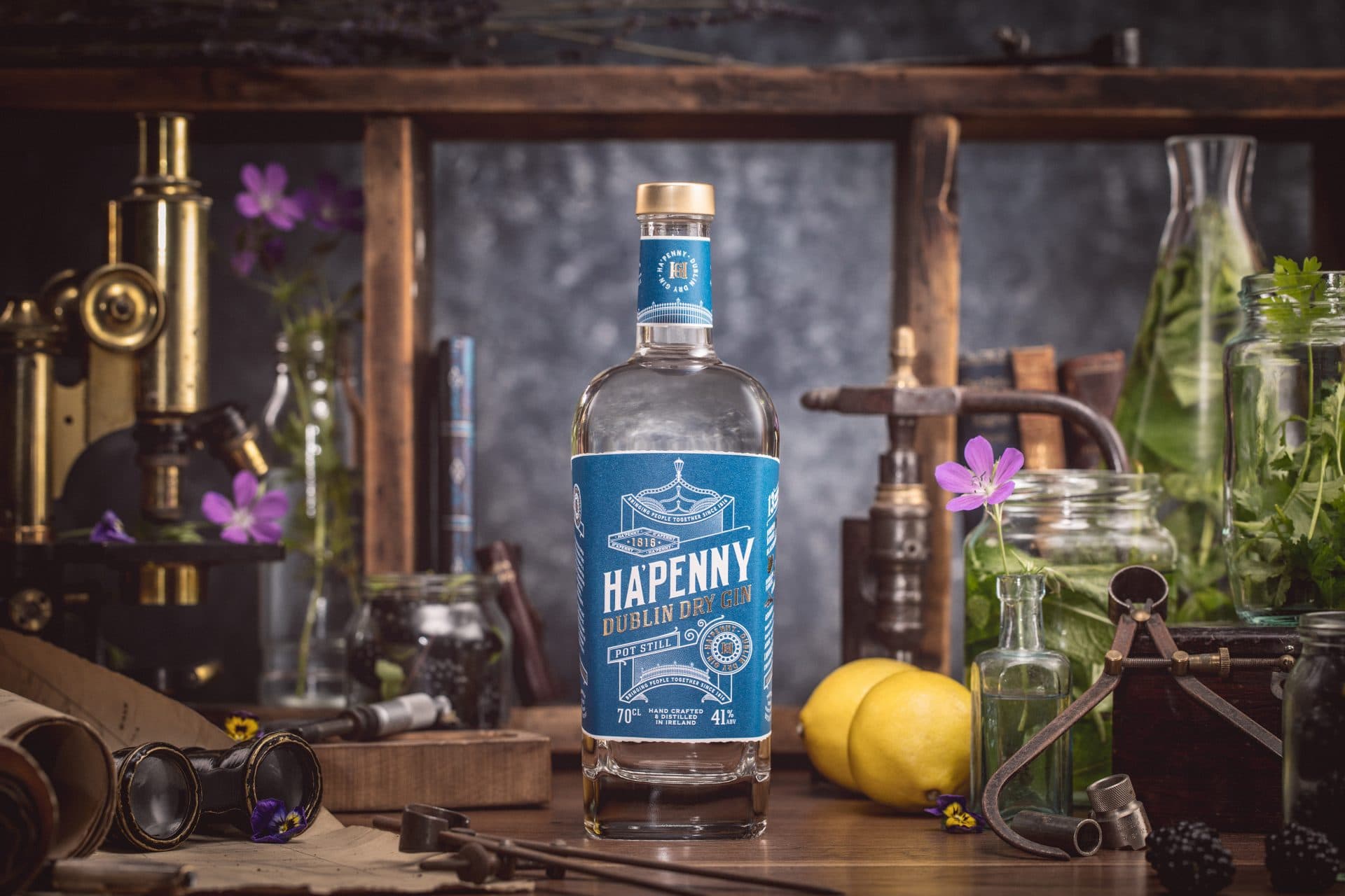 Image of Drinksology and Alltech’s Ha’penny Dublin Dry Gin